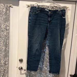 Lane Bryant Dark Blue Skinny Jeans